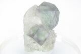 Green-Purple, Cubic Fluorite Crystals on Quartz - Inner Mongolia #216767-1